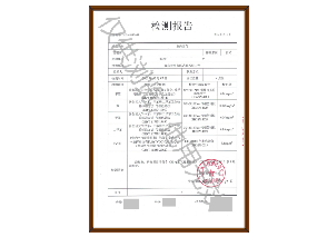 检测报告-1